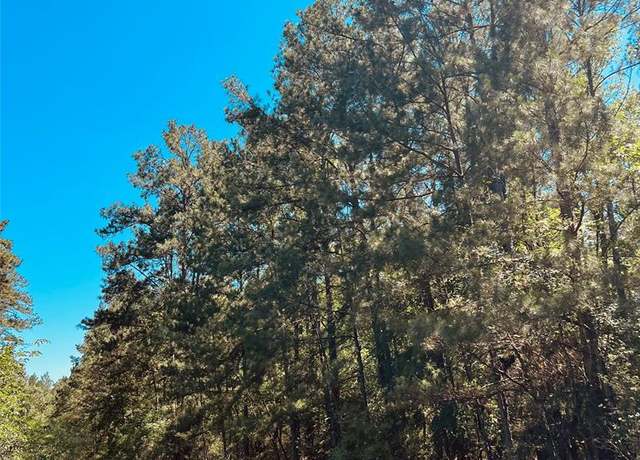 Property at Tbd Daffodil, Trinity, TX 75862