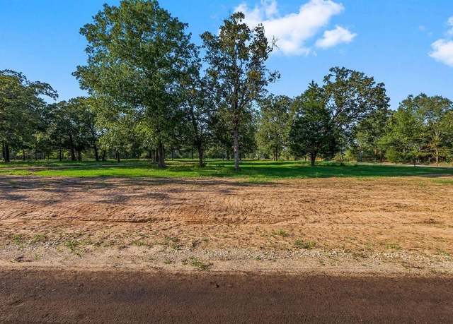 Property at 6159 Alans Memorial Ln, New Waverly, TX 77358