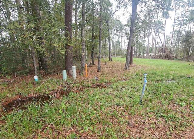 Property at 818 Scribe St, New Caney, TX 77357