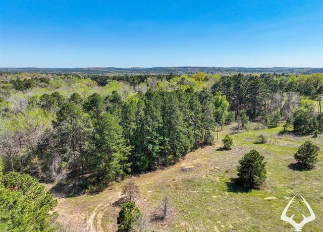 Property at TBD 2 FM 323, Palestine, TX 75801