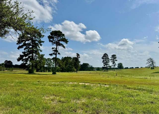 Property at TBD Lakeland Lot 64 Dr, Hillister, TX 77624