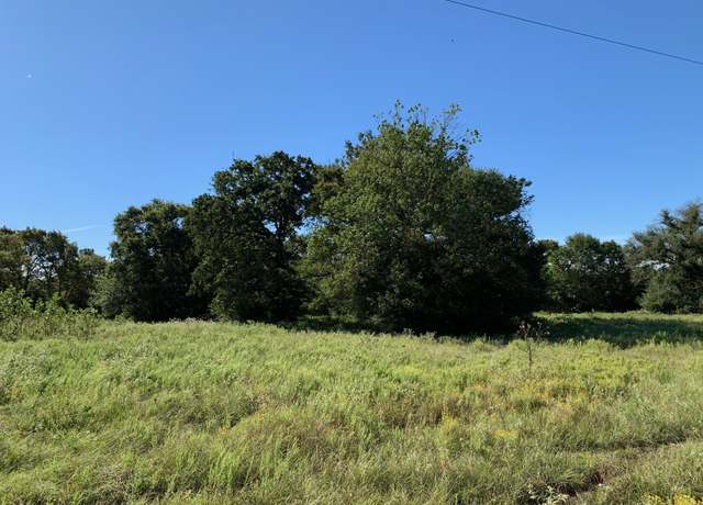 Property at 133 ac Fm 39, Normangee, TX 77871