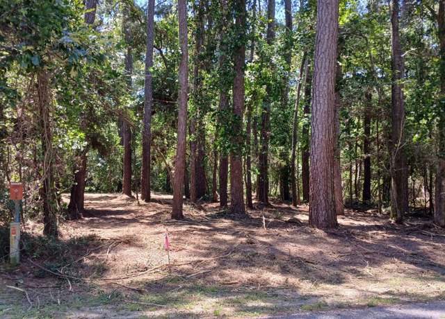 Property at TBD04 Doral, Trinity, TX 75862