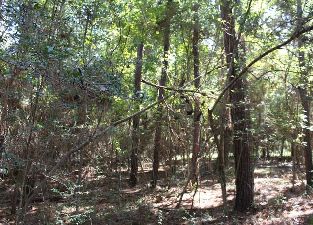 Property at TBD 0magnolia, Trinity, TX 75862