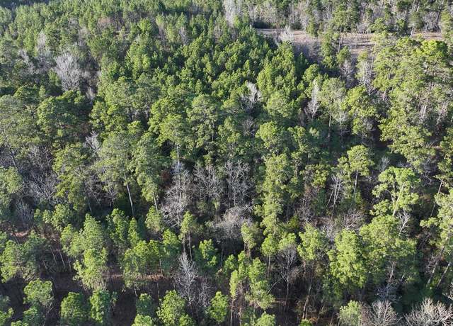 Property at TBD Off FM 355, Trinity, TX 75862