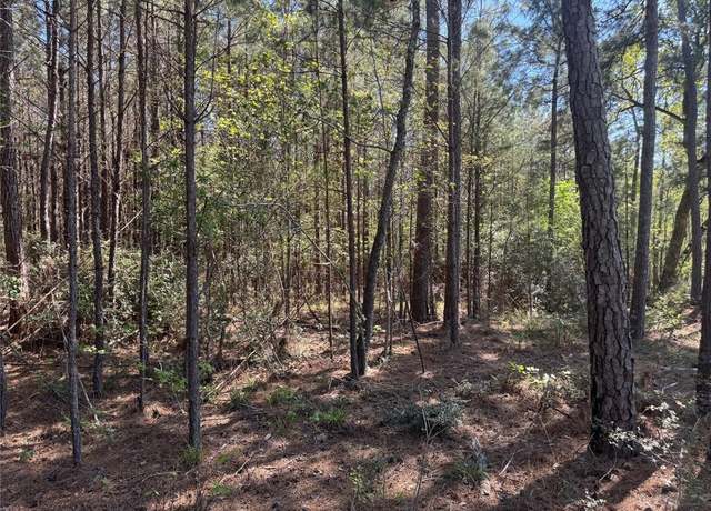 Property at Tract 107 Hwy 156, Coldspring, TX 77331