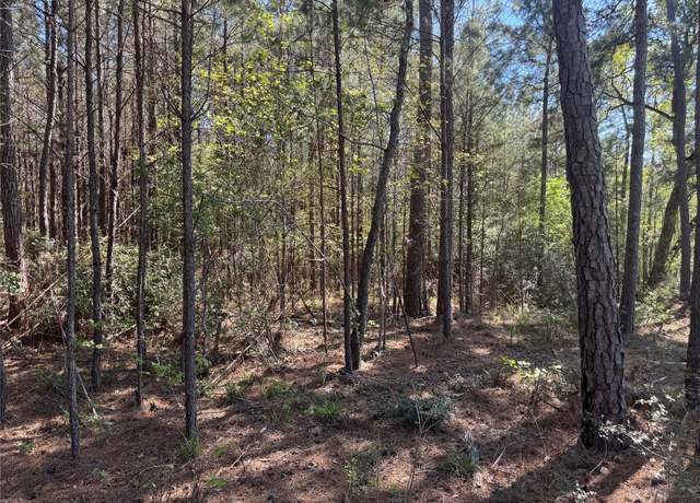 Property at Tract 107 Hwy 156, Coldspring, TX 77331