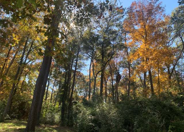Property at TBD County Road 319, Cleveland, TX 77327