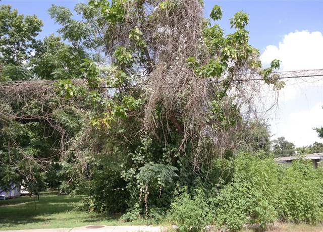 Property at 110 Young St, Willis, TX 77378