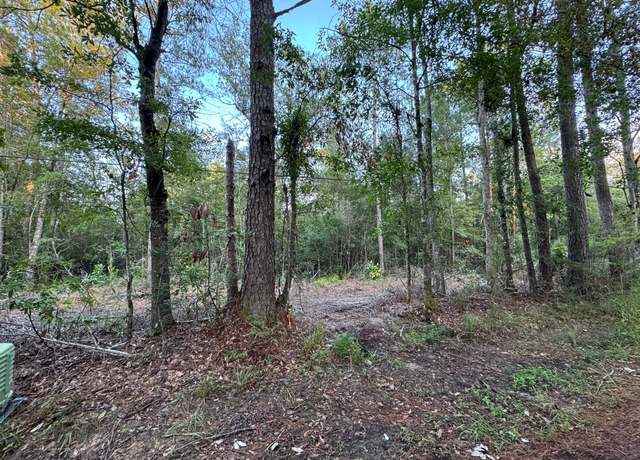 Property at 5.10 Acres On Cr 459, Kirbyville, TX 75956