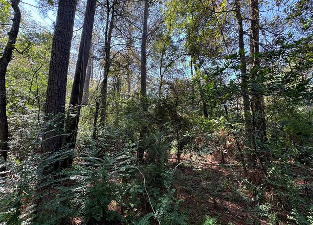 Property at 7795-00-10400 Assessor's Parcel Number, New Caney, TX 77357