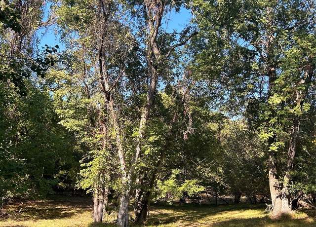 Property at TBD Jo Ann Trl, Livingston, TX 77351