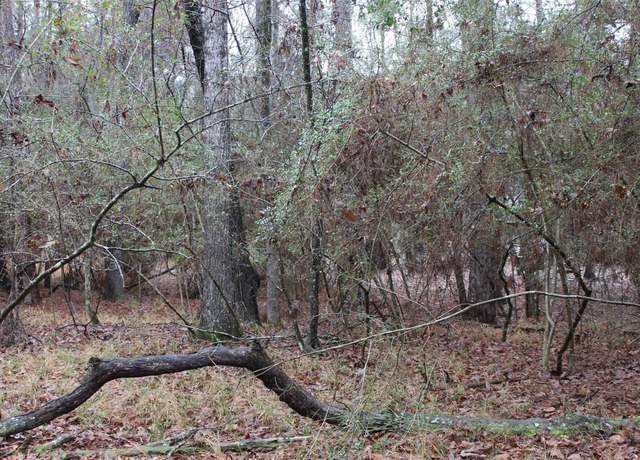 Property at LOT 6 Magnolia Ct, Trinity, TX 75862