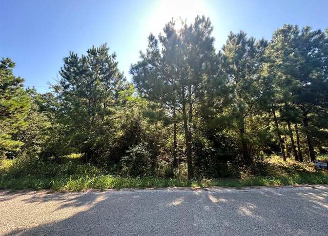 Property at 0 Alum Creek Rd, Smithville, TX 78957