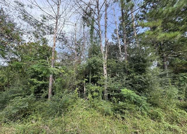 Property at 871 County Road 4470, Warren, TX 77664