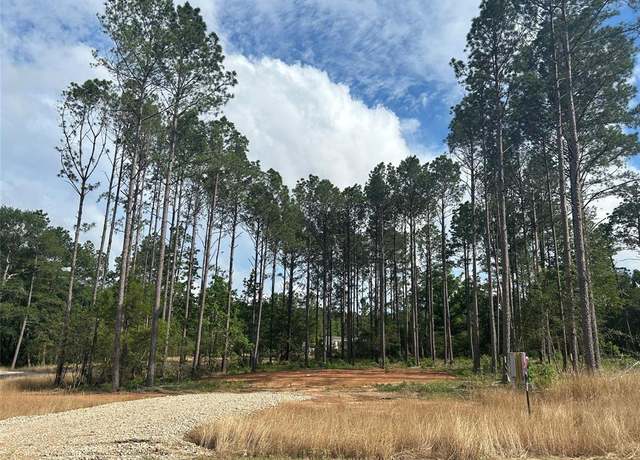 Property at 9510 River Creek Dr, Willis, TX 77378