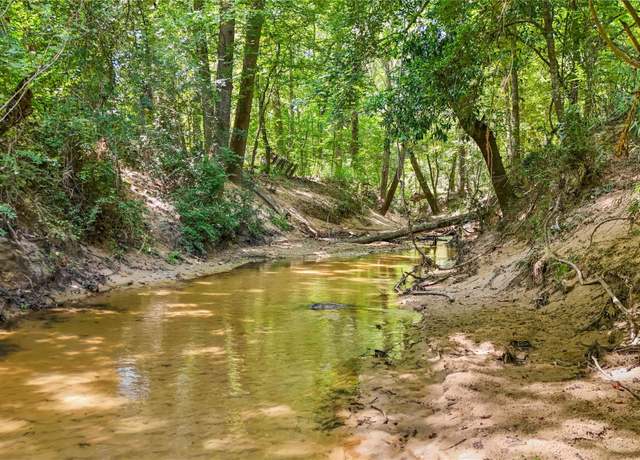 Property at TBD Hwy 69 N, Woodville, TX 75979
