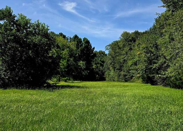 Property at 13.33 AC W FM 1097 Rd, Montgomery, TX 77356