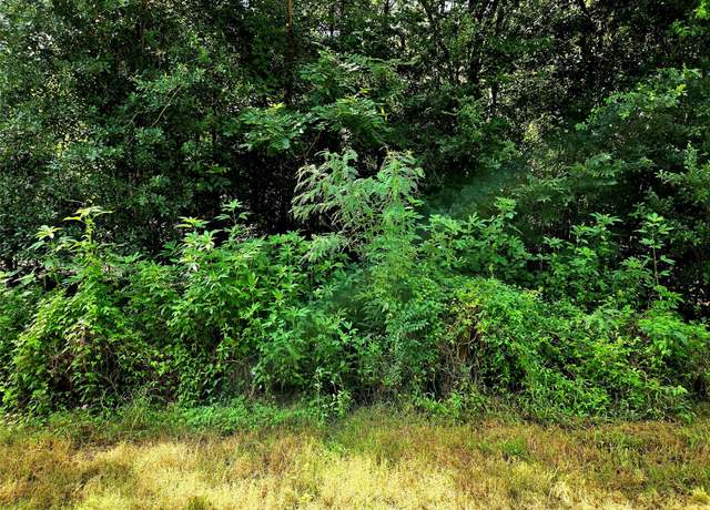 Property at 005 Cr-610, Angleton, TX 77515