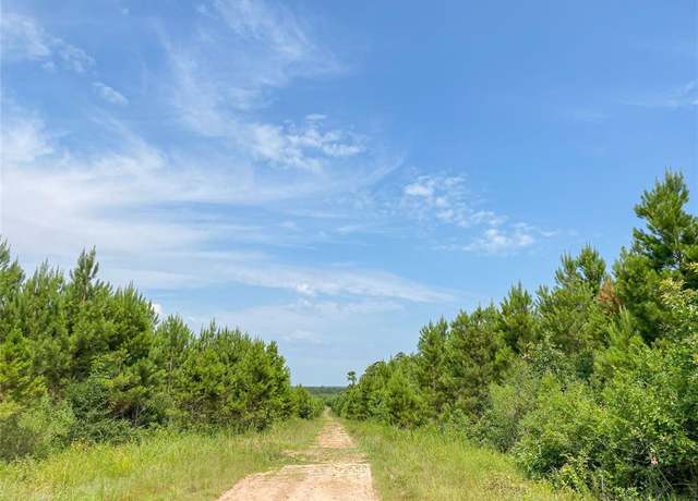 Property at 0000000 Red Hollow Rd, Leggett, TX 77350