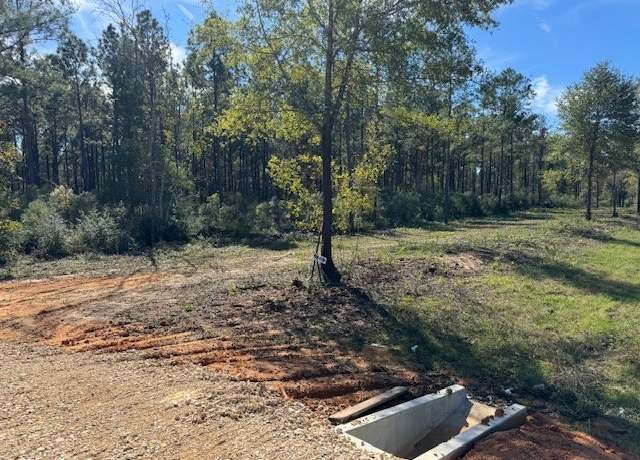 Property at TBD FM 350 South Fm-350 S, Livingston, TX 77351