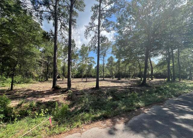 Property at TBD Lot 3 Deerwood Dr, Plantersville, TX 77363