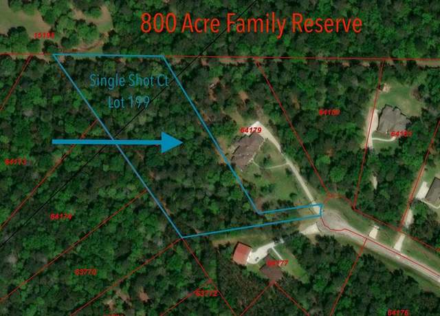 Property at 0 Single Shot Ct, Huntsville, TX 77340