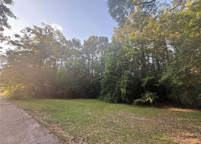 Property at TBD Forse Dr, Woodville, TX 75979