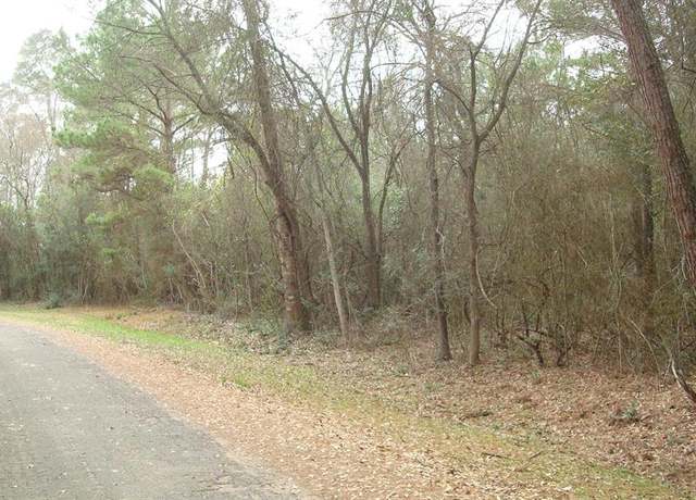 Property at 25459 Castle Ln, Hockley, TX 77477