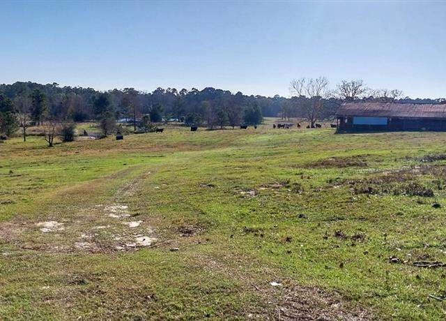 Property at 0 S Highway 94, Trinity, TX 75862