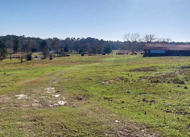 Property at 0 S Highway 94, Trinity, TX 75862