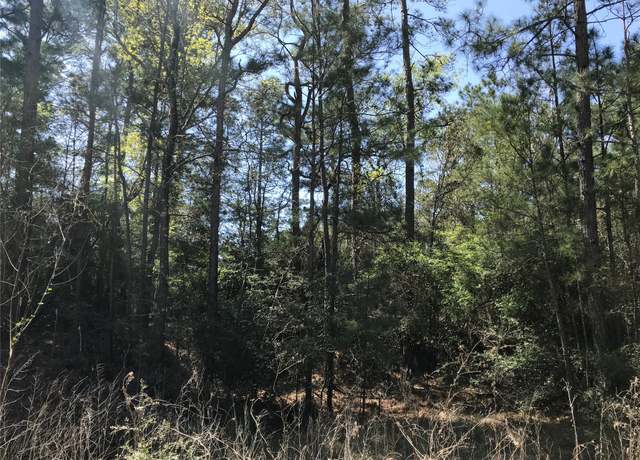 Property at tbd lot 28 Parkview Dr, Onalaska, TX 77360