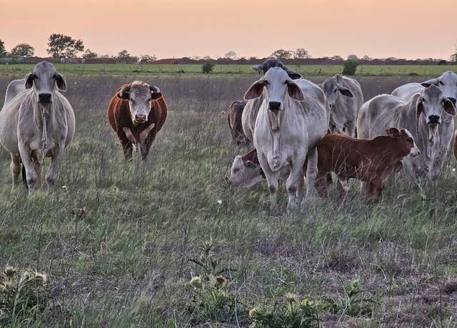 Property at N/A Old Columbus Rd N, Sealy, TX 77474