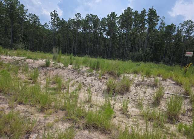 Property at 135 Rayburn Reserve Dr, Jasper, TX 75931