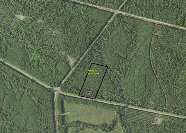 Property at 0 Hwy 83, Pineland, TX 76968