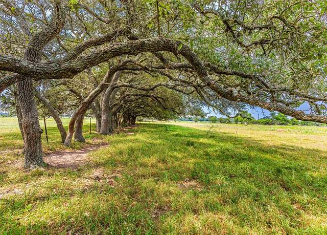 Property at 2948 County Road 106, Columbus, TX 78934