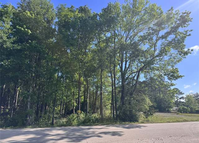 Property at TBD N Railroad Ave, Shepherd, TX 77371