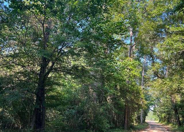 Property at TBD County Road 087, Jasper, TX 75951
