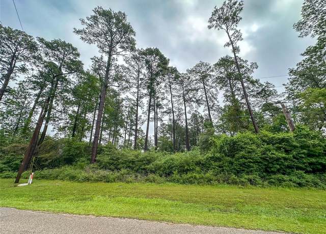 Property at TBD S S Canyon Dr Dr, Onalaska, TX 77360