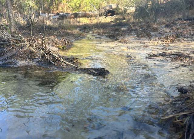 Property at 00 fm 3016, Grapeland, TX 75844
