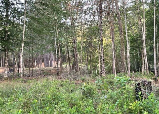 Property at 5566 County Road 451, Kirbyville, TX 75956