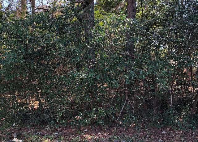 Property at 389 Live Oak, Trinity, TX 75862