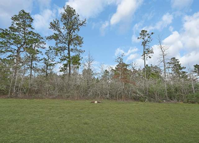 Property at 357 Iron Horse Rd, New Waverly, TX 77358