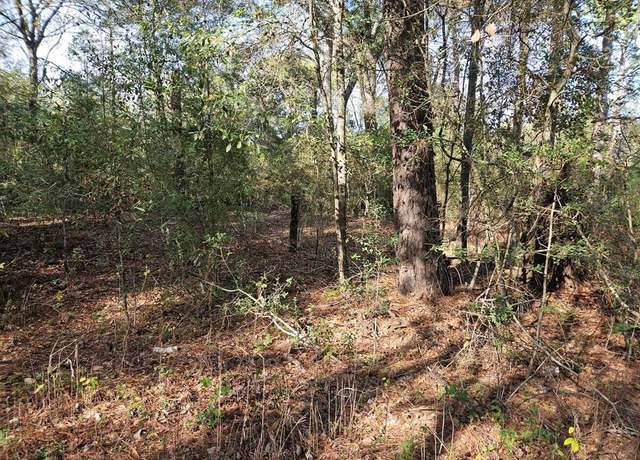 Property at 0001 Pinecone Ln, Plantersville, TX 77363