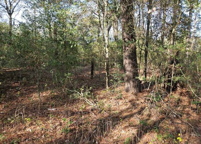 Property at 0001 Pinecone Ln, Plantersville, TX 77363