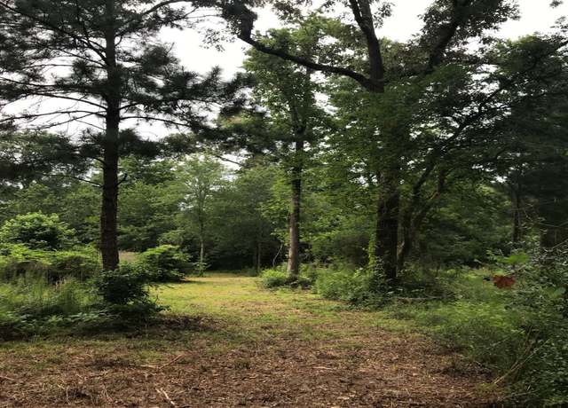 Property at 26150 Grand Pines Rd, Magnolia, TX 77355