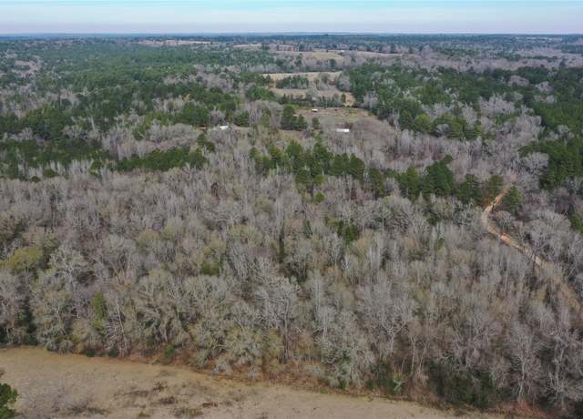 Property at Lot 2 County Road 2240, Grapeland, TX 75844