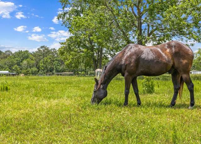 Property at 0000 FM 1632, Woodville, TX 75979