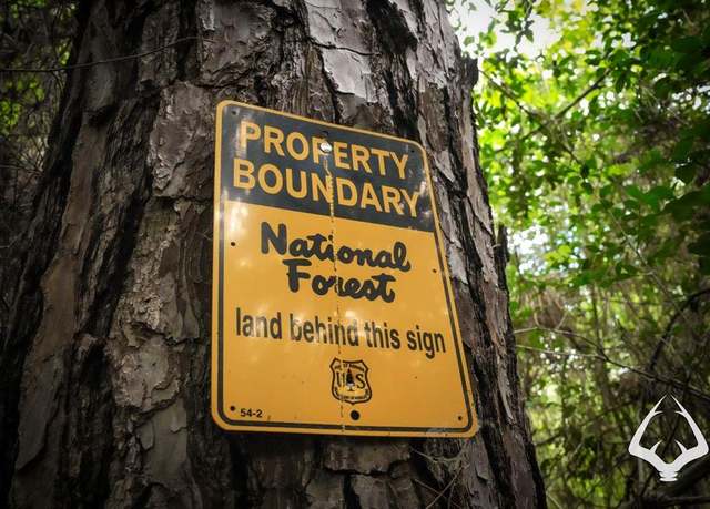 Property at TBD County Road 4690, Kennard, TX 75847