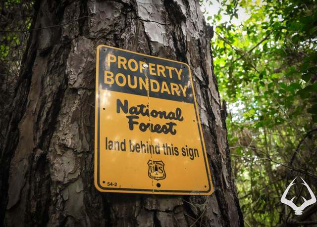Property at TBD County Road 4690, Kennard, TX 75847